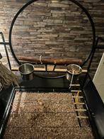 Papegaai standaard, Ophalen of Verzenden, Zo goed als nieuw