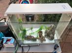 Superfish 80, Dieren en Toebehoren, Vissen | Aquaria en Toebehoren, Ophalen, Gebruikt, Leeg aquarium