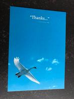 Boomerang kaarten gevraagd collecties, magazijnvoorraad ed., Verzamelen, Ophalen of Verzenden, Voor 1920, Sterren en Beroemdheden