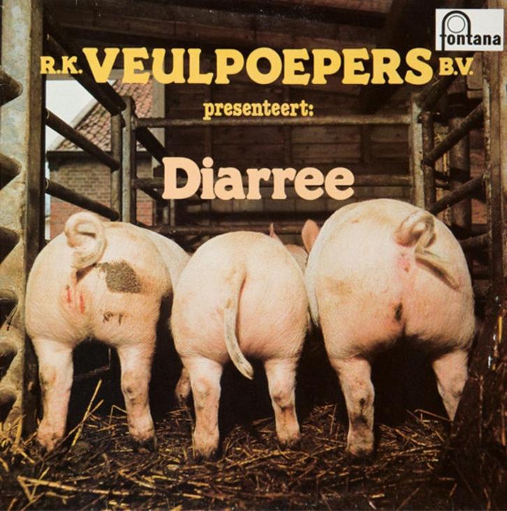 Folk L.P. (1978) R.K. de VEULPOEPERS - Diarree, Cd's en Dvd's, Vinyl | Nederlandstalig, Gebruikt, Streekmuziek, 12 inch, Ophalen of Verzenden