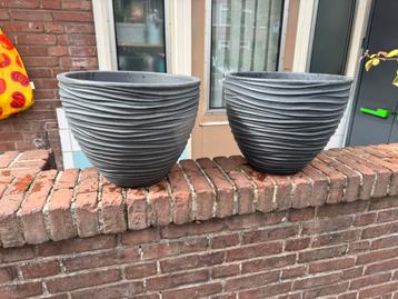 Bloemen en plantenbakken beschikbaar voor biedingen