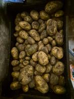 Frieslander aardappelen 1 euro per kilo, Diversen, Levensmiddelen, Ophalen of Verzenden