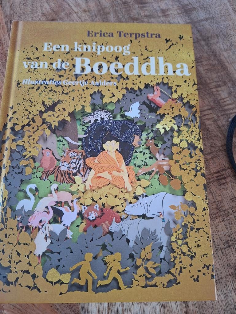 Erica Terpstra - Een knipoog van de Boeddha, Erica Terpstra, Fictie algemeen, Ophalen of Verzenden, Zo goed als nieuw
