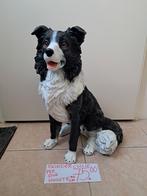 Mooi nieuw kwaliteits beeld van de border collie te koop, Tuin en Terras, Tuinbeelden, Ophalen, Dierenbeeld, Kunststof, Nieuw
