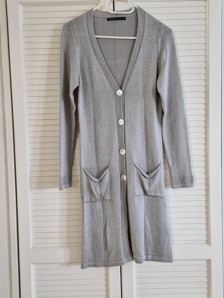 Expresso Vest XS, Kleding | Dames, Truien en Vesten, Gedragen, Maat 34 (XS) of kleiner, Grijs, Ophalen