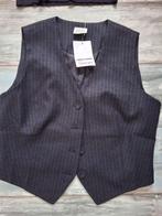Nieuw gilet kaartje er nog aan, Kleding | Dames, Ophalen of Verzenden, Nieuw, Maat 38/40 (M)