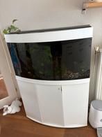 Aquarium Juwel 180 incl kast, Dieren en Toebehoren, Vissen | Aquaria en Toebehoren, Ophalen, Gebruikt, Leeg aquarium