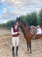 Weer tijd vrij voor training pony’s/paarden!, Dieren en Toebehoren, Paarden en Pony's | Overige Paardenspullen, Ophalen of Verzenden