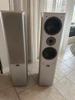 Magnat Vector 55 Luidsprekers !, Magnat, Ophalen of Verzenden, Zo goed als nieuw, 120 watt of meer