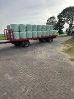 Maisbaaltjes, Dieren en Toebehoren, Ophalen of Verzenden, Vee