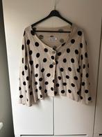 Masai vestje ecru zwart polkadot maat L, Kleding | Dames, Ophalen of Verzenden, Gedragen, Zwart