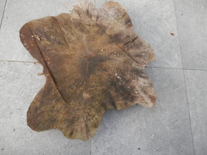 Boomschijf, grote diameter, mooi voor in de tuin., Tuin en Terras, Overige Tuin en Terras, Gebruikt, Ophalen