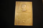Karl Landsteiner plaquette, 15 maal bloed gedoneerd., Ophalen of Verzenden, Brons, Nederland