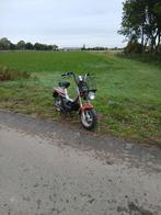 Tomos youngster blauw kenteken, Fietsen en Brommers, Brommers | Tomos, Ophalen of Verzenden, Maximaal 25 km/u
