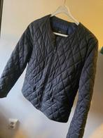 Dames jas, Kleding | Dames, Jassen | Winter, Maat 38/40 (M), Massimo Dutti, Blauw, Ophalen of Verzenden