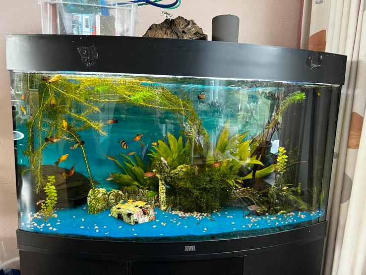 Juwel vision 180, Dieren en Toebehoren, Vissen | Aquaria en Toebehoren, Gebruikt, Overige typen, Ophalen