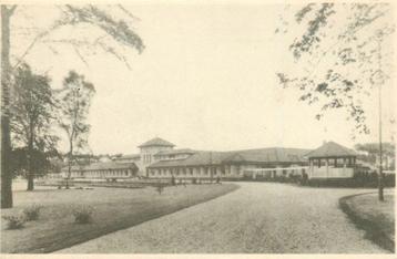 (387-235-035) Ermelo Sanatorium Het hoge riet beschikbaar voor biedingen