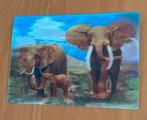 3D Ansichtkaart Olifanten - 17 x 12 cm, Verzamelen, Ansichtkaarten | Dieren, Ophalen of Verzenden, 1980 tot heden, Ongelopen, Wild dier