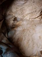 Schapen wol, Ophalen of Verzenden