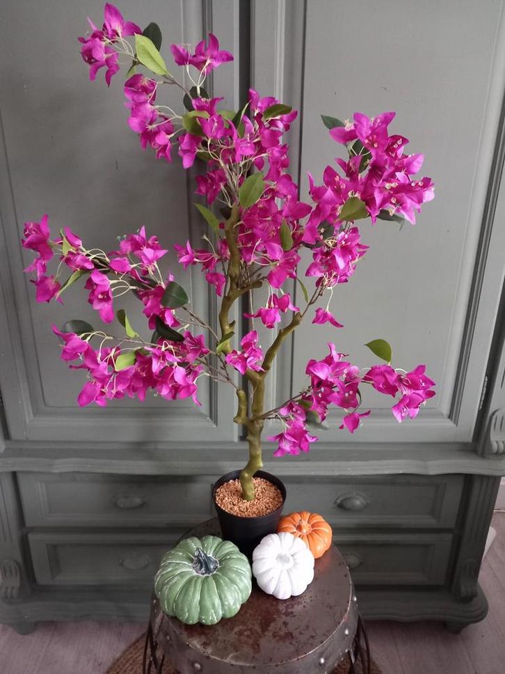 Zijdeplant Bougainvillea Nieuw, Huis en Inrichting, Woonaccessoires | Kunstplanten en Kunstbloemen, Nieuw, Binnen, Buiten, Ophalen of Verzenden