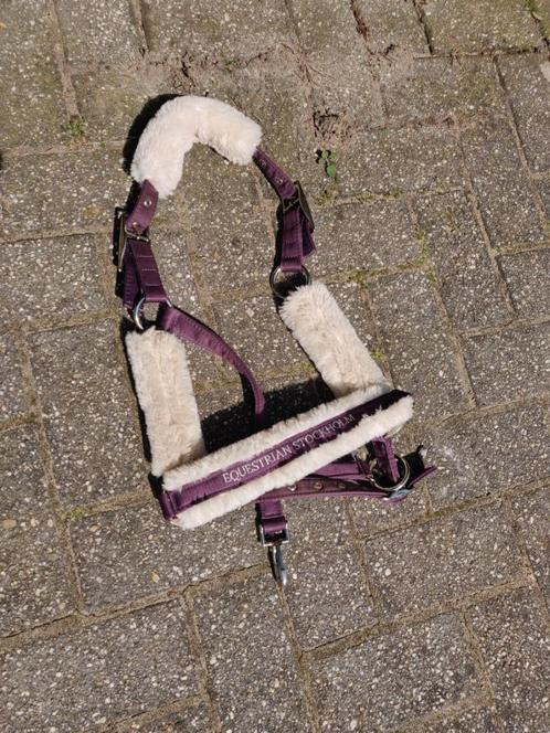 Halster Equestrian Stockholm Orchid Bloom (COB), Dieren en Toebehoren, Paarden en Pony's | Hoofdstellen en Tuigage, Zo goed als nieuw