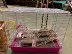Hamsterkooi en allerlei toebehoren, Dieren en Toebehoren, Januari, Hamster