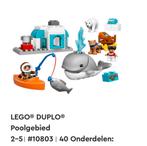 Poolgebied 10803 Duplo, Ophalen of Verzenden, Zo goed als nieuw, Duplo