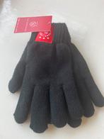 Ajax nieuw S/M handschoenen zwart, Ophalen of Verzenden, Nieuw, Maat 46 (S) of kleiner, Handschoenen
