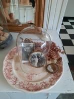 2 prachtige oude rose borden van Villeroy en Boch, Ophalen of Verzenden
