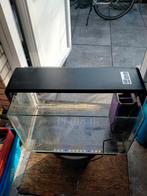 ** SUPERFISH 65 **, Dieren en Toebehoren, Vissen | Aquaria en Toebehoren, Ophalen, Leeg aquarium