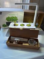 Click & Grow Smart Garden - Kweek je eigen kruiden!, Ophalen of Verzenden, Nieuw, Kweekbak