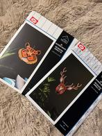 Villa Volance 3D Muurdecoratie - Nieuw, Ophalen of Verzenden, Nieuw, Plaatje