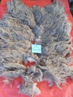 nr 26 Geschoren vacht van een skudde, Ophalen of Verzenden, Nieuw