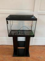 Aquarium 60x40x30, Dieren en Toebehoren, Ophalen, Gebruikt, Leeg aquarium