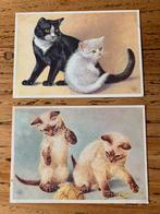 2 kaarten van poezen ontwerp Ko van den Broecke, Verzamelen, Ansichtkaarten | Dieren, Ongelopen, Ophalen of Verzenden, Hond of Kat