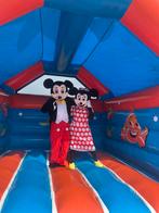 Mickey mouse minnie mouse mascotte, Ophalen of Verzenden