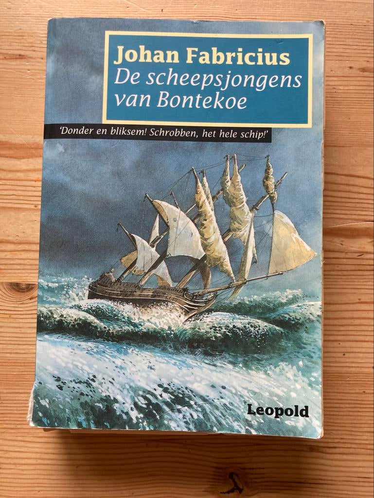 De scheepsjongens van Bontekoe - Johan Fabricius, Boeken, Ophalen of Verzenden, Gelezen