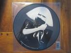 Lady Gaga The Fame Monster (Pic. disc), Ophalen of Verzenden, Zo goed als nieuw, 12 inch