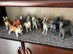 Onze complete Akita honden verzameling, Ophalen