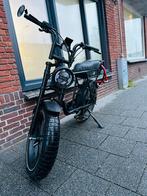 APE Ryder A10 Pro, Fietsen en Brommers, Scooters | Piaggio, Overige modellen, Elektrisch, Ophalen of Verzenden, Zo goed als nieuw