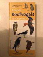 Zakgids Roofvogels van Europa - Peter Hayman, Boeken, Ophalen of Verzenden, Zo goed als nieuw, Vogels