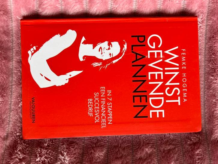 Winstgevende Plannen - Femke Hogema, Boeken, Economie, Management en Marketing, Zo goed als nieuw, Management, Ophalen of Verzenden