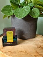 Rituals parfum, Ophalen of Verzenden, Nieuw
