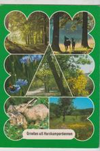 Harskamp Groeten Camping De Harskamperdennen Natuur 1984, Verzenden, 1980 tot heden, Gelopen, Gelderland