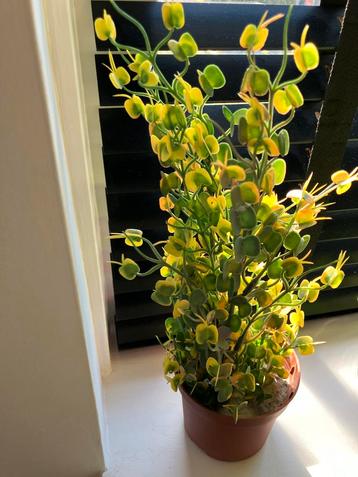 Kunstplant - Decoratief beschikbaar voor biedingen