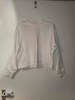 Lacoste Witte Trui Maat M, Maat 38/40 (M), Wit, Ophalen of Verzenden, Lacoste