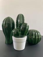 Set van drie keramische cactussen, Verzenden, Volledige schaduw, Overige soorten, In pot