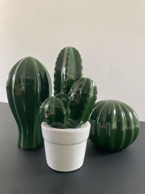 Set van drie keramische cactussen, Huis en Inrichting, Kamerplanten, Overige soorten, Minder dan 100 cm, Groene kamerplant, Volledige schaduw