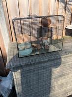 Hamsterkooi, Kooi, Minder dan 75 cm, Zo goed als nieuw, Hamster
