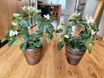 2 x bloempot met mooie kunst stephanotis, Huis en Inrichting, Woonaccessoires | Kunstplanten en Kunstbloemen, Ophalen, Zo goed als nieuw